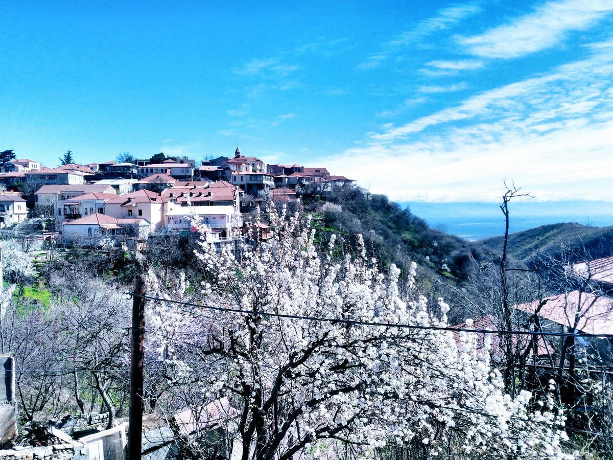 Three Gracia Hotel Sighnaghi Exterior foto